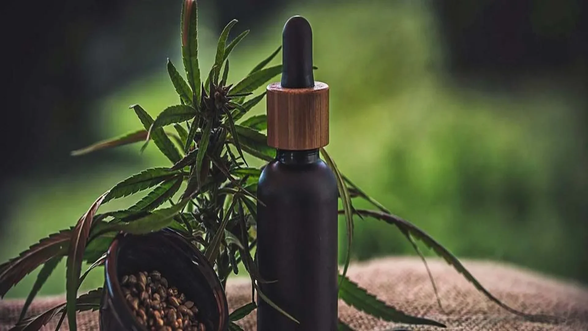 Blog-Title-Featured-Image-cbd-tincture-health-benefits-pyh9wplxv2g6xab2rp92cfdtwaowj5ymoaom36onm0